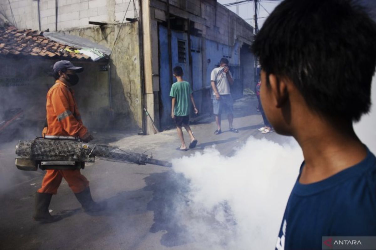 DKI kemarin, nyamuk wolbachia hingga tujuh bangunan di Jaktim terbakar