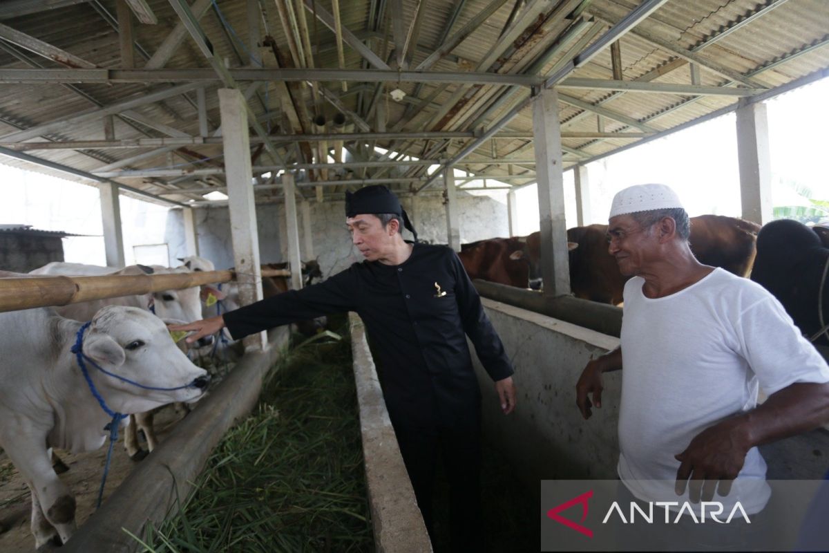 Pemkot Bogor salurkan 40 sapi potong bantuan Kementan ke KTD