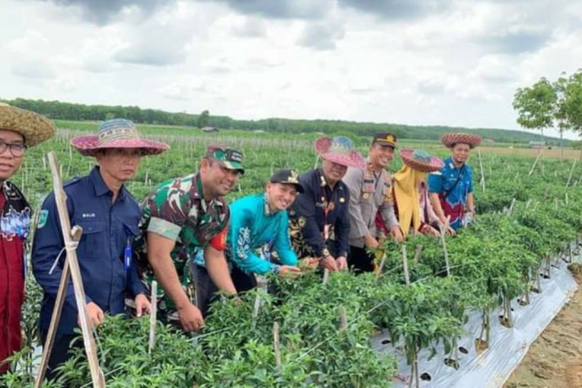 Desa Suka Ramah penyuplai hasil hortikultura hingga keluar Kalsel