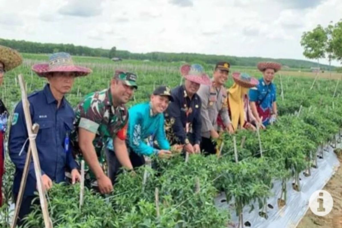 Tanah Laut introduces South Kalimantan's horticultural village