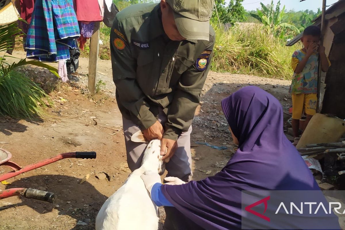 Disnak OKU cegah penyebaran penyakit pada hewan