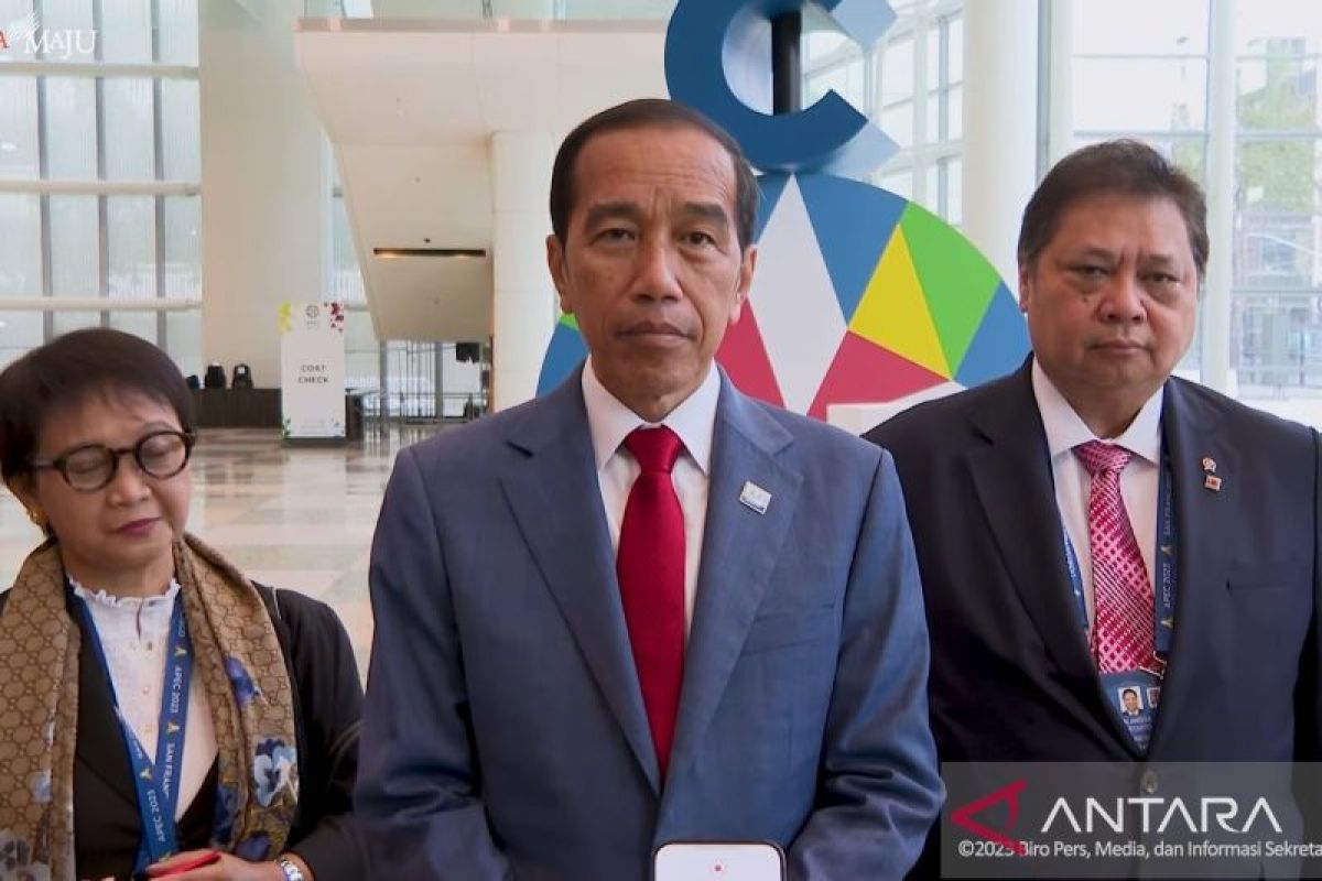 Presiden Jokowi yakini investor luar negeri akan segera masuk ke IKN
