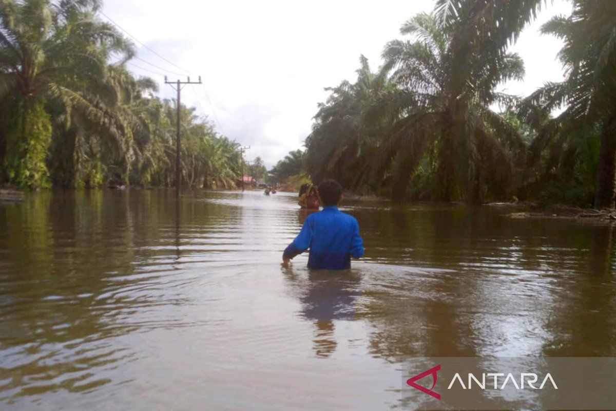 Banjir satu meter rendam pemukiman penduduk di Aceh Selatan
