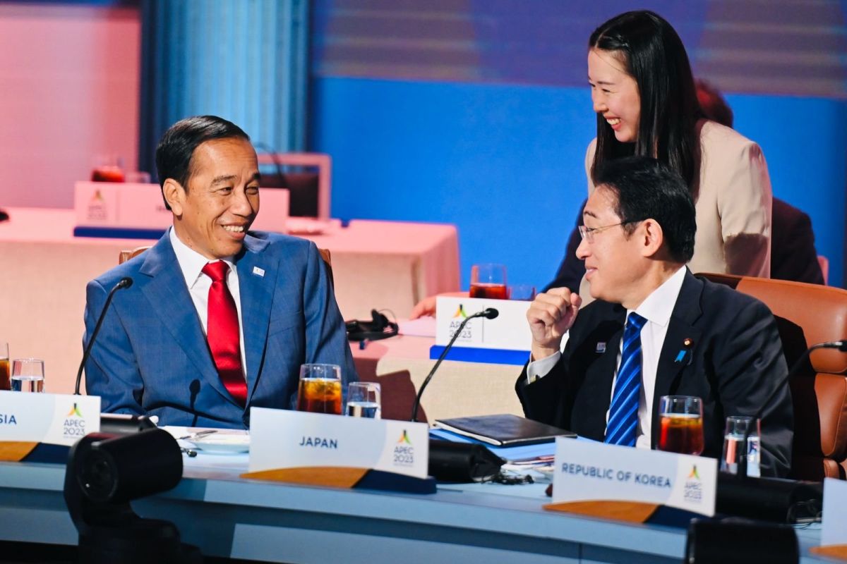 Presiden Jokowi tekankan tiga fokus APEC hadapi perubahan iklim