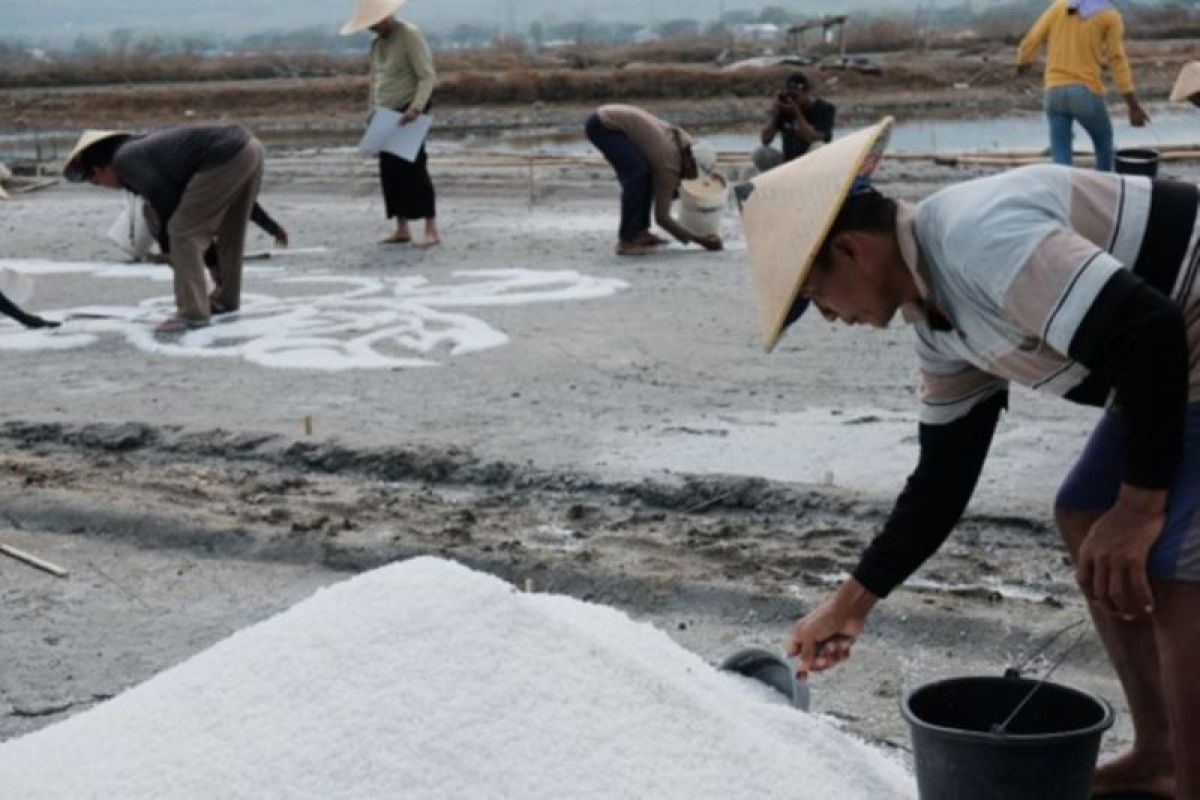 Pentas seni kolaborasi petani garam, hasilkan lukisan garam raksasa