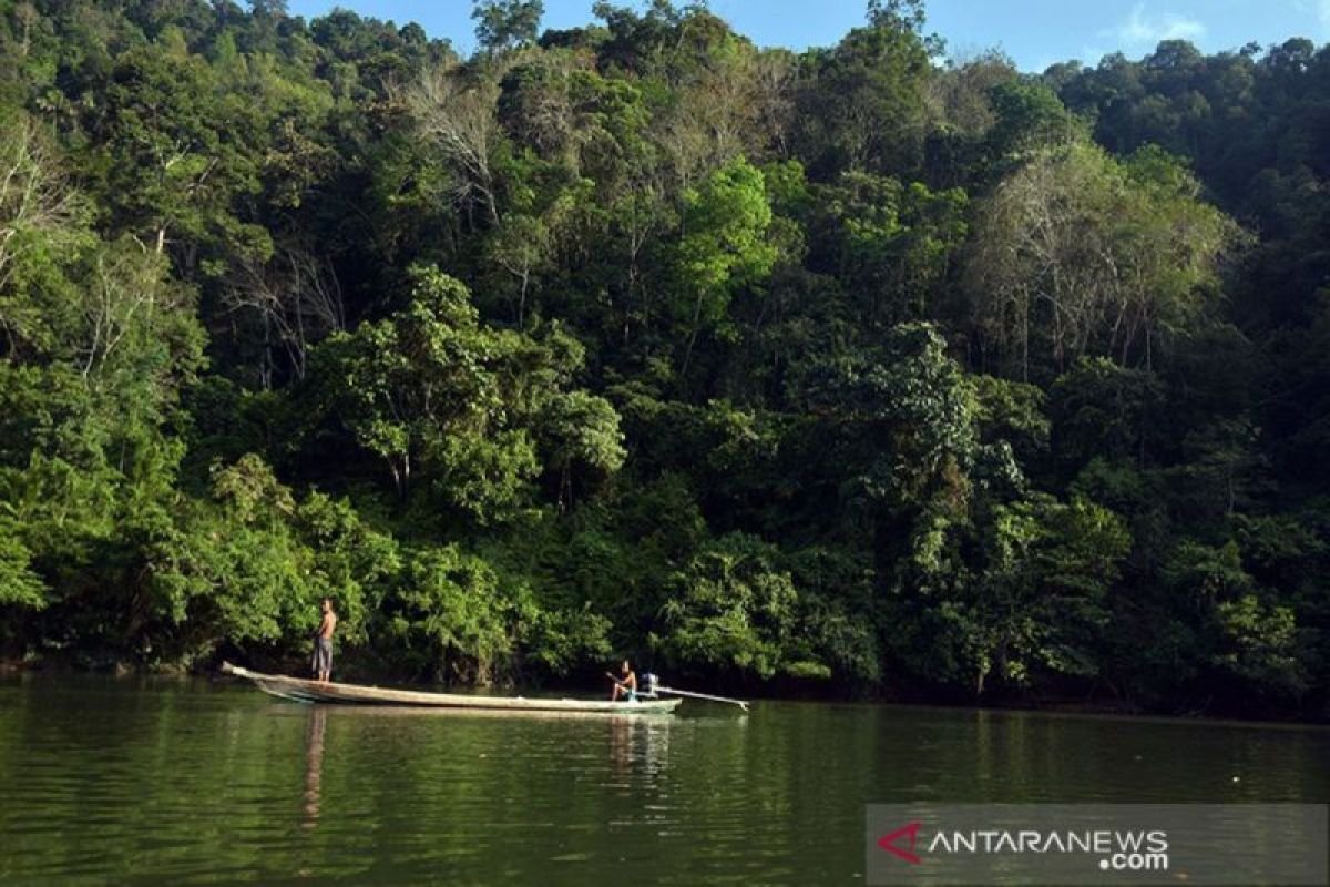 Riau bekali 27 kader konservasi Margasatwa Bukit Rimbang Bukit Baling