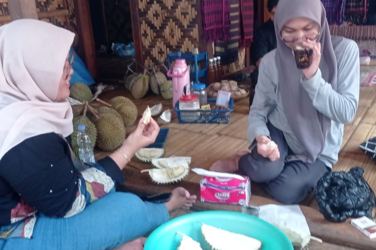 Wisatawan padati permukiman masyarakat Badui Lebak berburu buah durian
