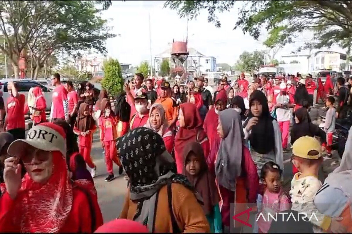 Ribuan peserta jalan sehat ramaikan HUT Ke-67 Lampung Selatan