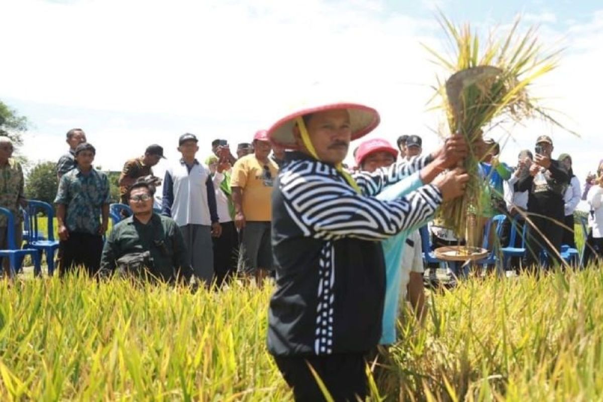 Wali Kota Madiun apresiasi panen raya petani di lahan terbatas