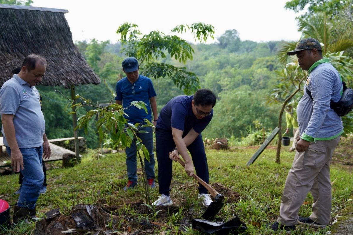 246 ASN Pemkab Hulu Sungai Tengah tanam pohon usai kenaikan pangkat