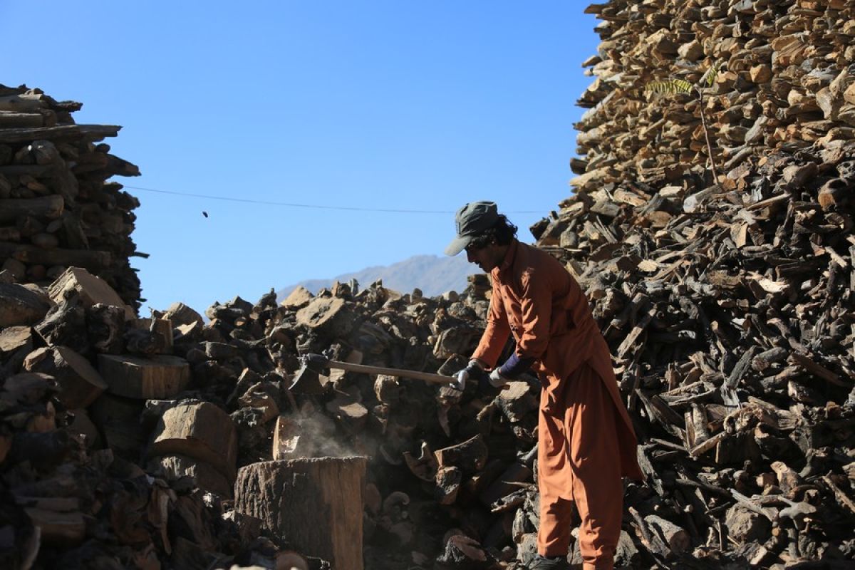 Afghanistan bertahan dari kemiskinan, dampak sanksi AS di musim dingin