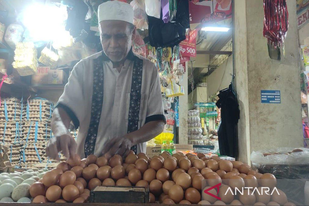 Pedagang sebut pencairan bansos buat harga telur di Sampit naik