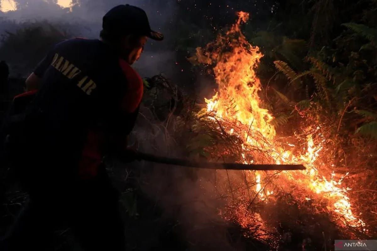 PT Kalista Alam lunasi Rp114 miliar kerugian negara akibat karhutla