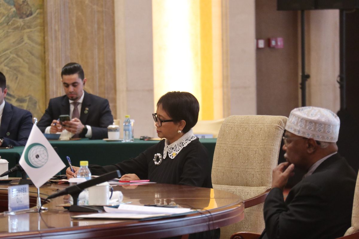 Menlu Retno: OKI dan Liga Arab desak DK PBB keluarkan resolusi tegas