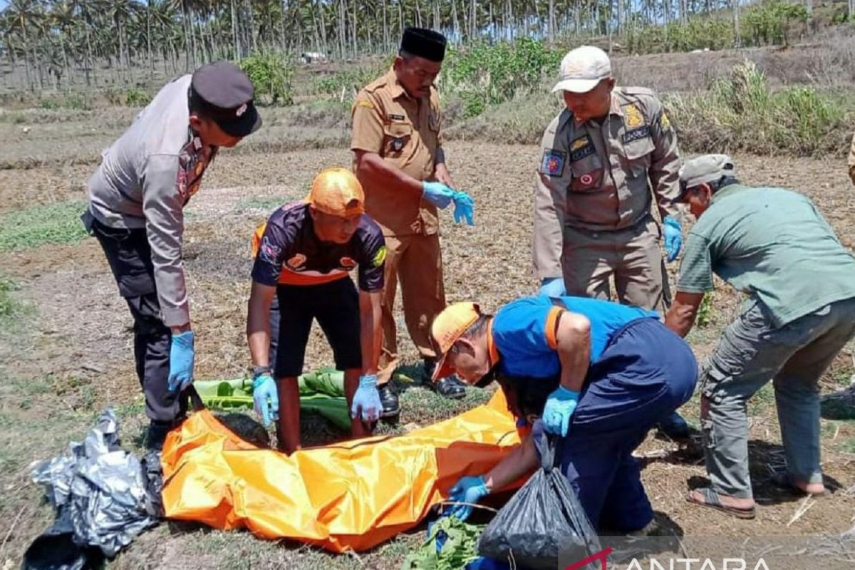 Petugas gabungan evakuasi jasad pria tidak dikenal di tengah sawah Desa Cikangkung Sukabumi