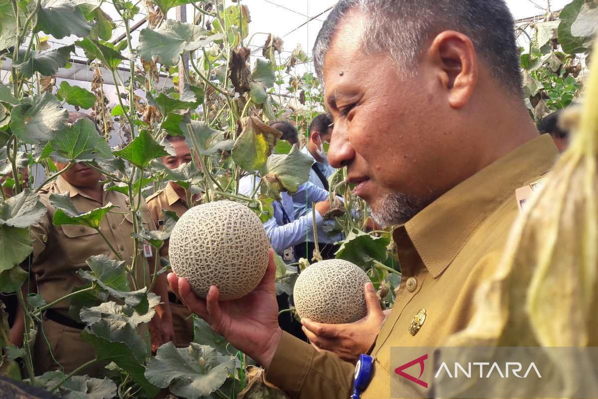 Desa Bansari kembangkan "green house" tanaman  melon