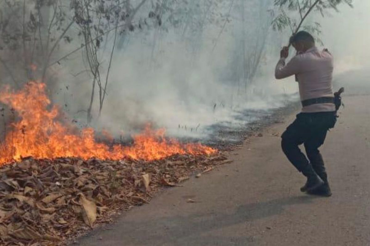 Polisi dan warga padamkan  kebakaran hutan dan lahan di Tanimbar-Maluku