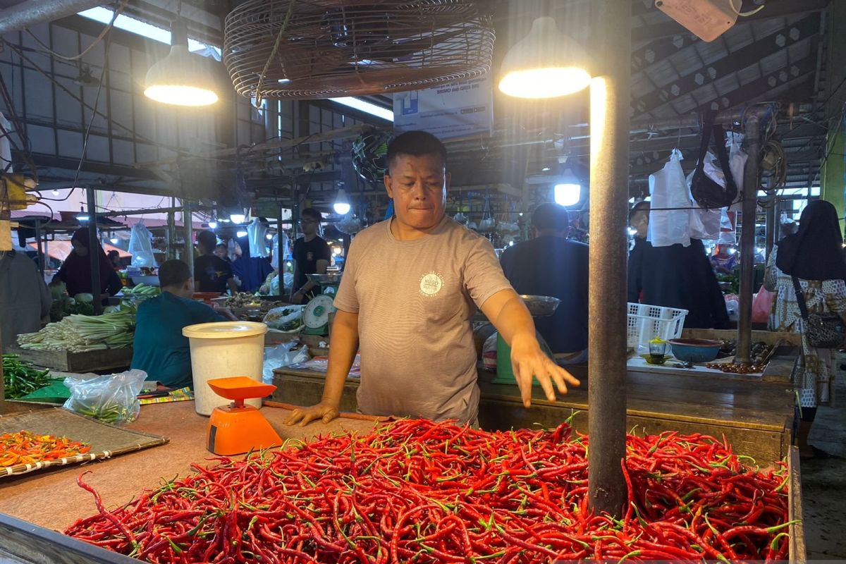 Pemprov Jambi sediakan 14 ton cabai merah untuk operasi pasar