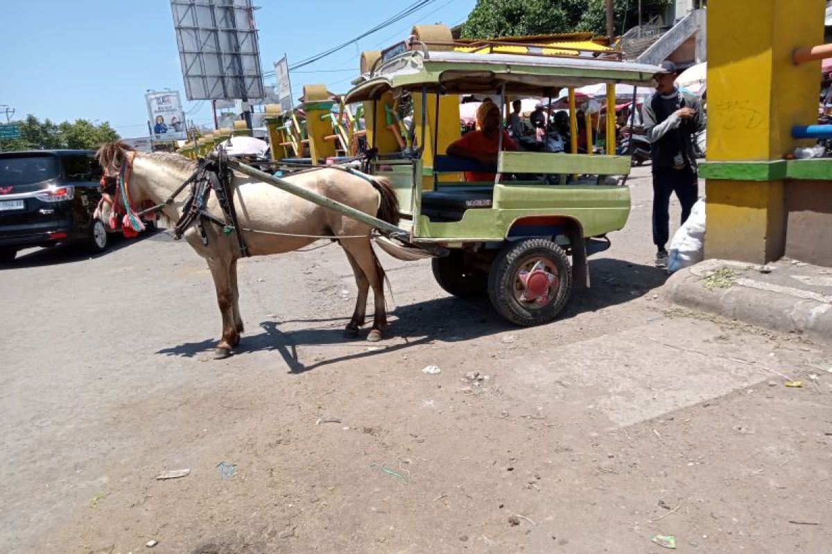 Dishub Mataram sosialisasi pengolahan kotoran kuda menjadi biogas