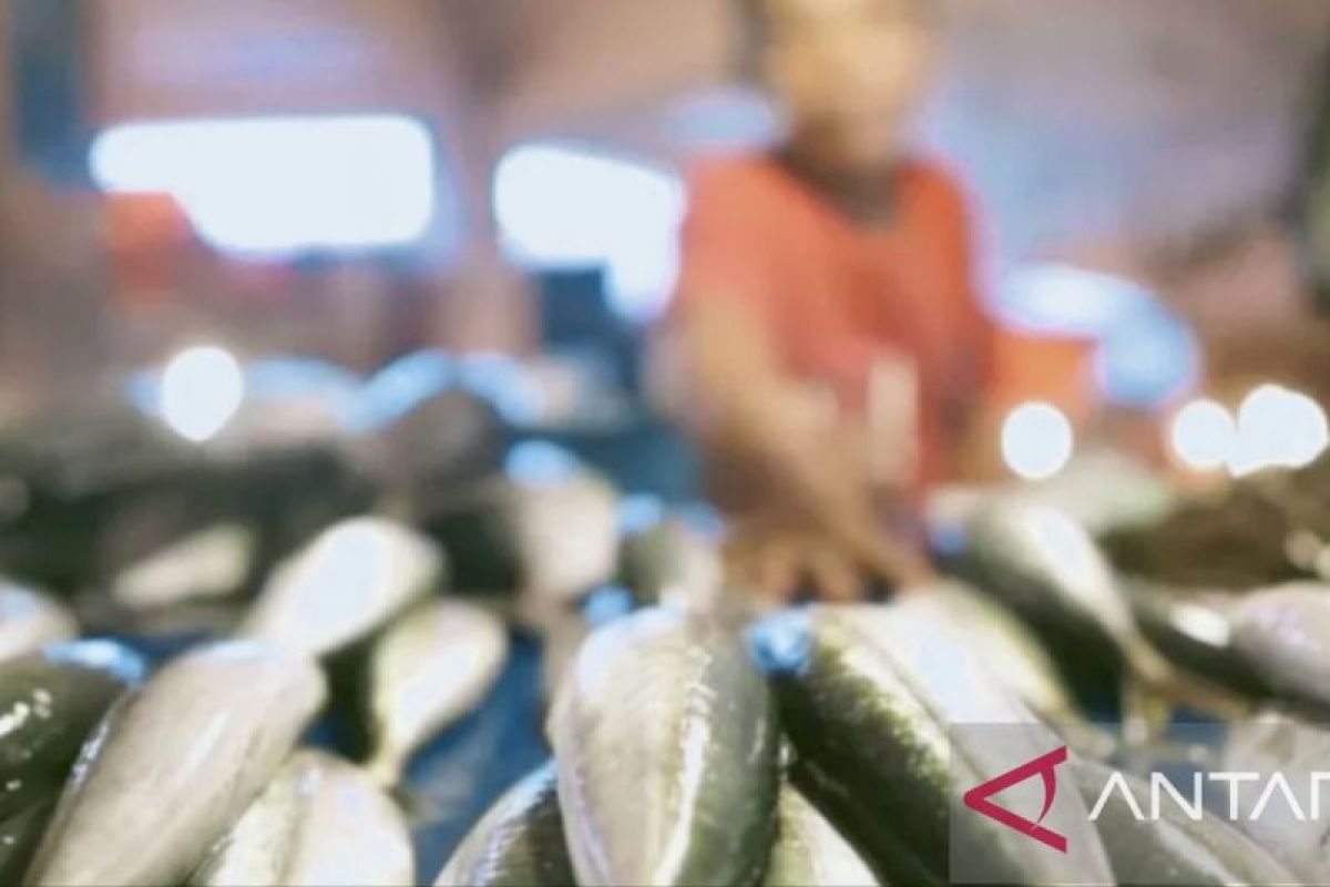 Dinas Perikanan Karawang ajak pelaku usaha olahan ikan tingkatkan mutu dan kualitas produk