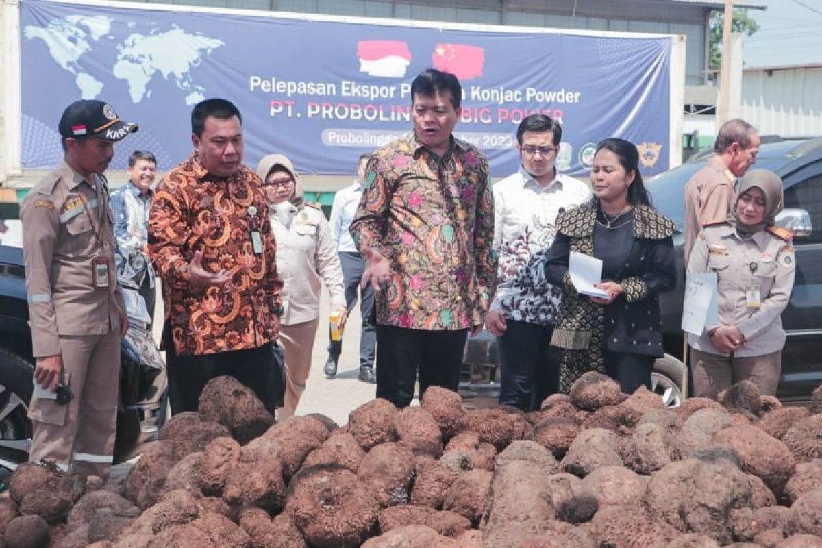 Kabupaten Probolinggo ekspor tepung porang ke China