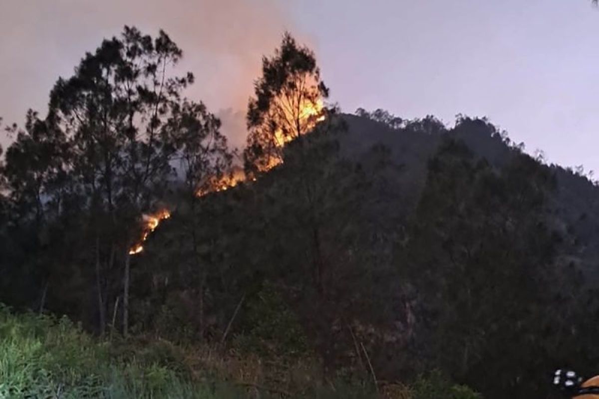 Lereng Gunung Panderman Kota Batu terbakar