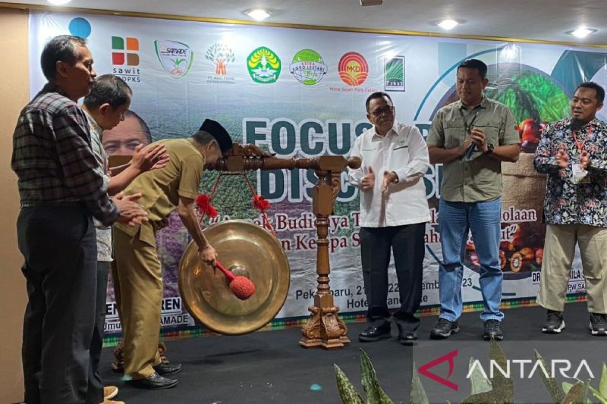 Puluhan petani Riau belajar pengelolaan kebun sawit di lahan gambut
