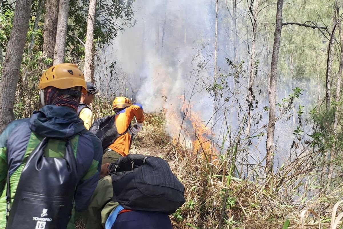 Luas area kebakaran di Gunung Panderman Kota Batu capai 3,5 hektare