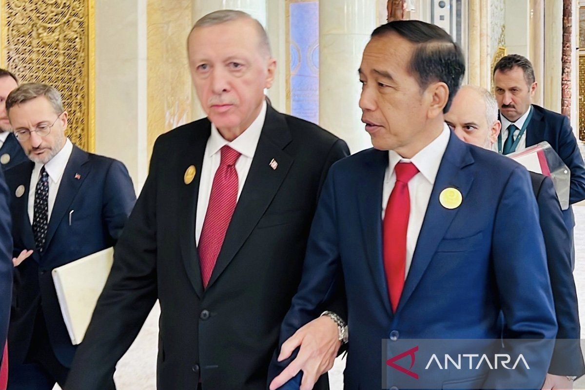 Erdogan tegaskan Turki tak terima kebijakan Israel kurangi jumlah penduduk Gaza