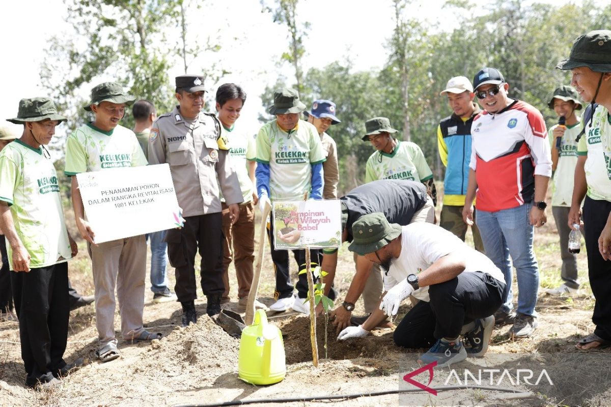 Salurkan Bantuan TJSL Penanamam Pohon 1001 Kelekak, PLN Dukung Green Transformation