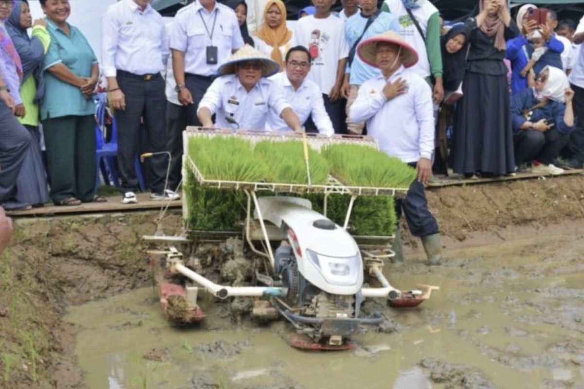 Metro Lampung menarget produksi padi 17 ribu ton musim tanam pertama