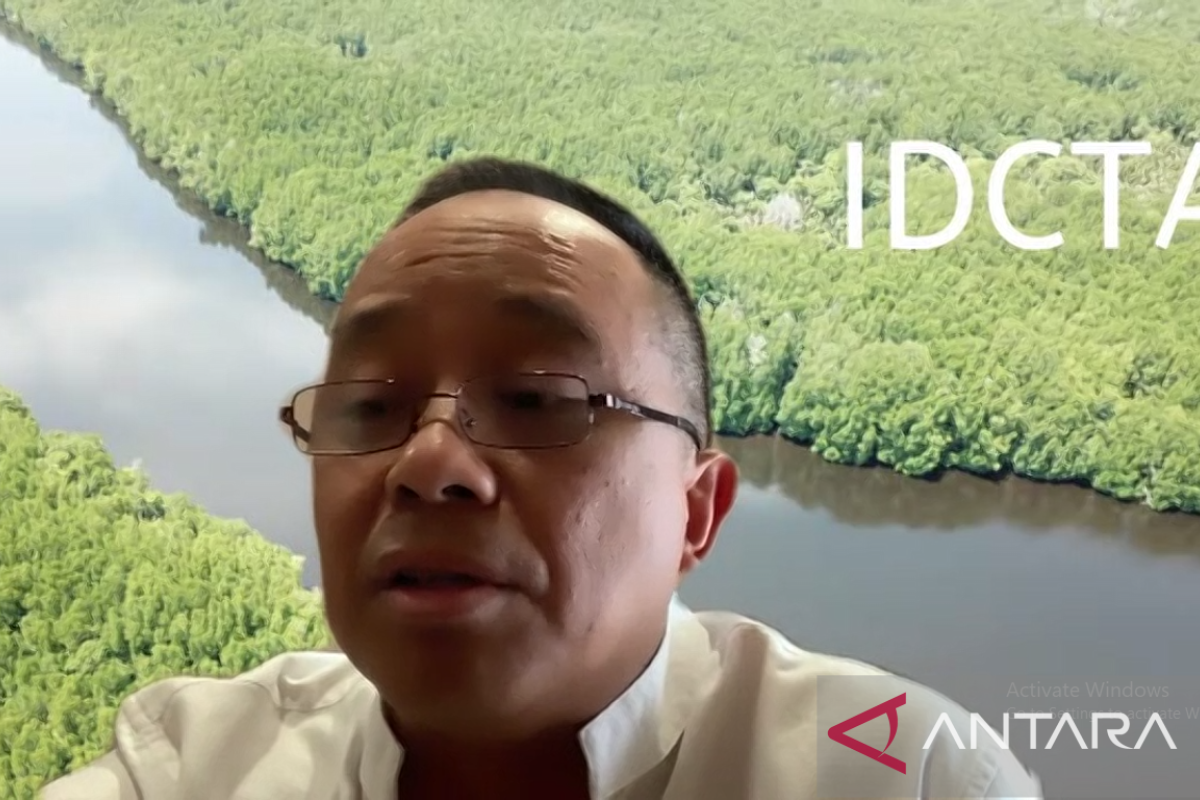 IDCTA: Partisipasi global tingkatkan penjualan kredit karbon Indonesia
