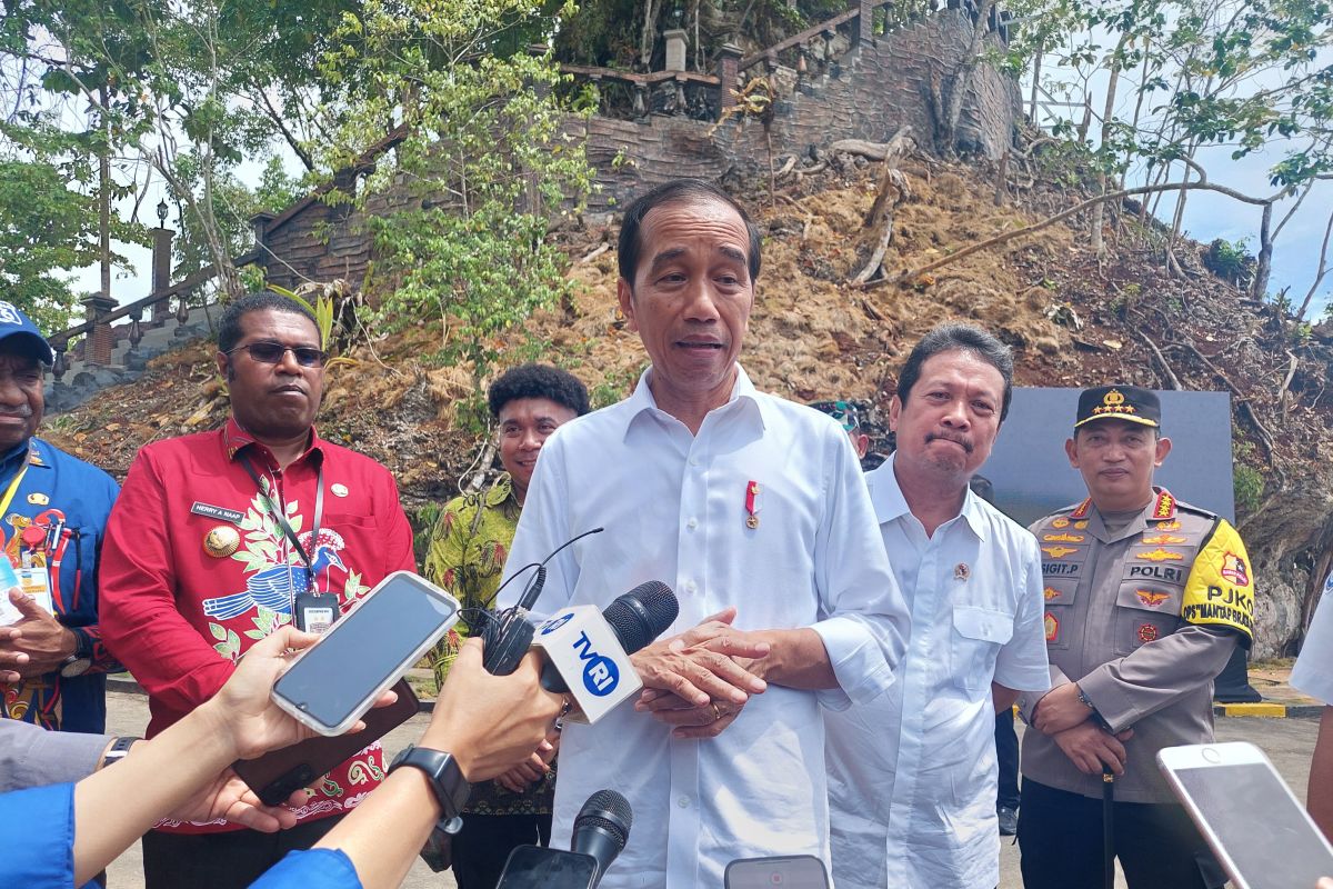 Cold storage in Papua's Modern Fishermen Village is adequate: Jokowi