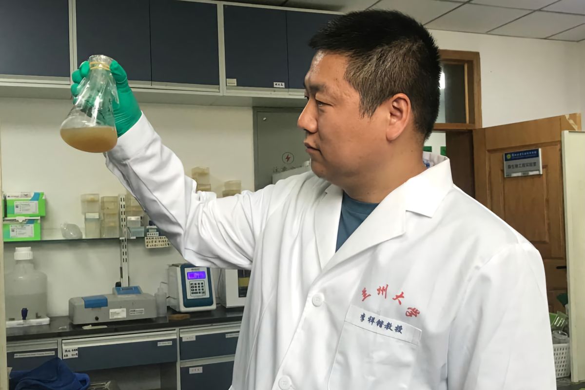 Peneliti China usulkan penerapan probiotik dalam perawatan kesehatan