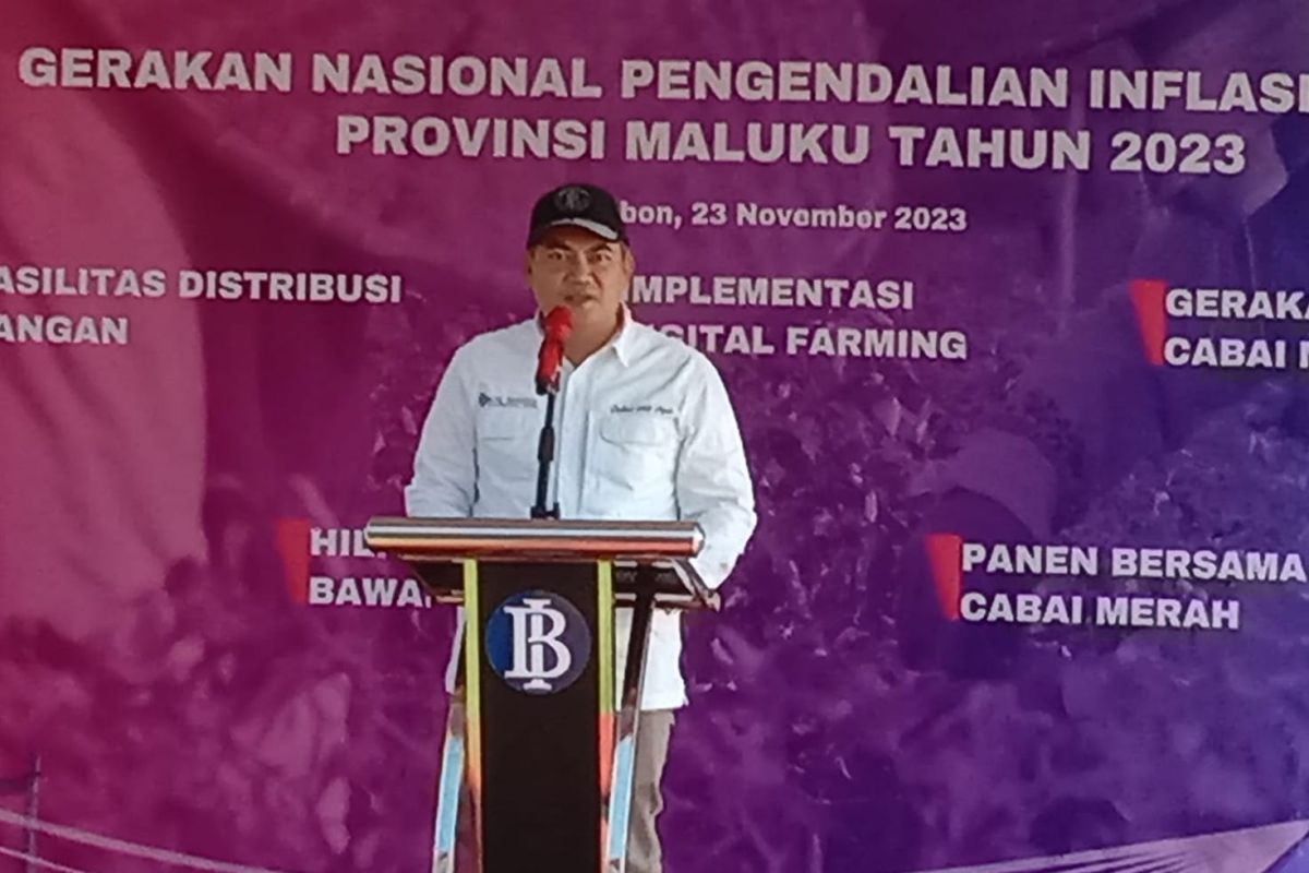 BI-Pemprov Maluku siapkan tujuh program gerakan pengendalian inflasi pangan