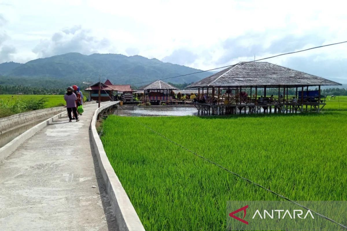 Pemkot Solok tingkatkan produksi padi dukung ketahanan pangan