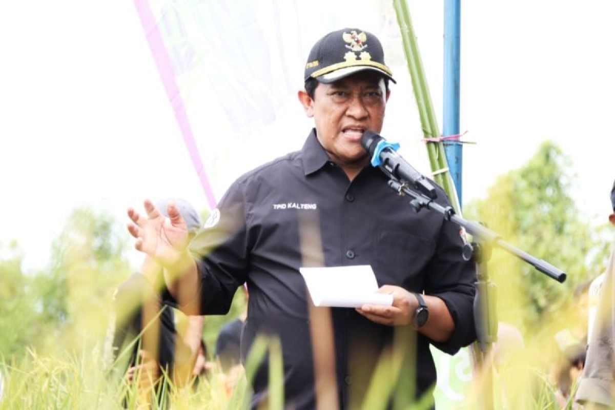 Pemprov Kalteng alokasikan Rp10,9 miliar majukan pertanian Kotim