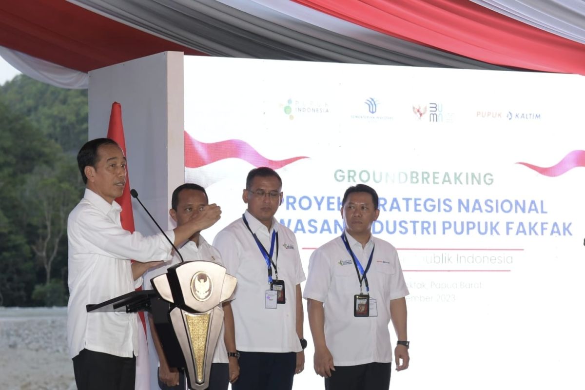 Presiden bangun kawasan industri pupuk pertama di timur Indonesia
