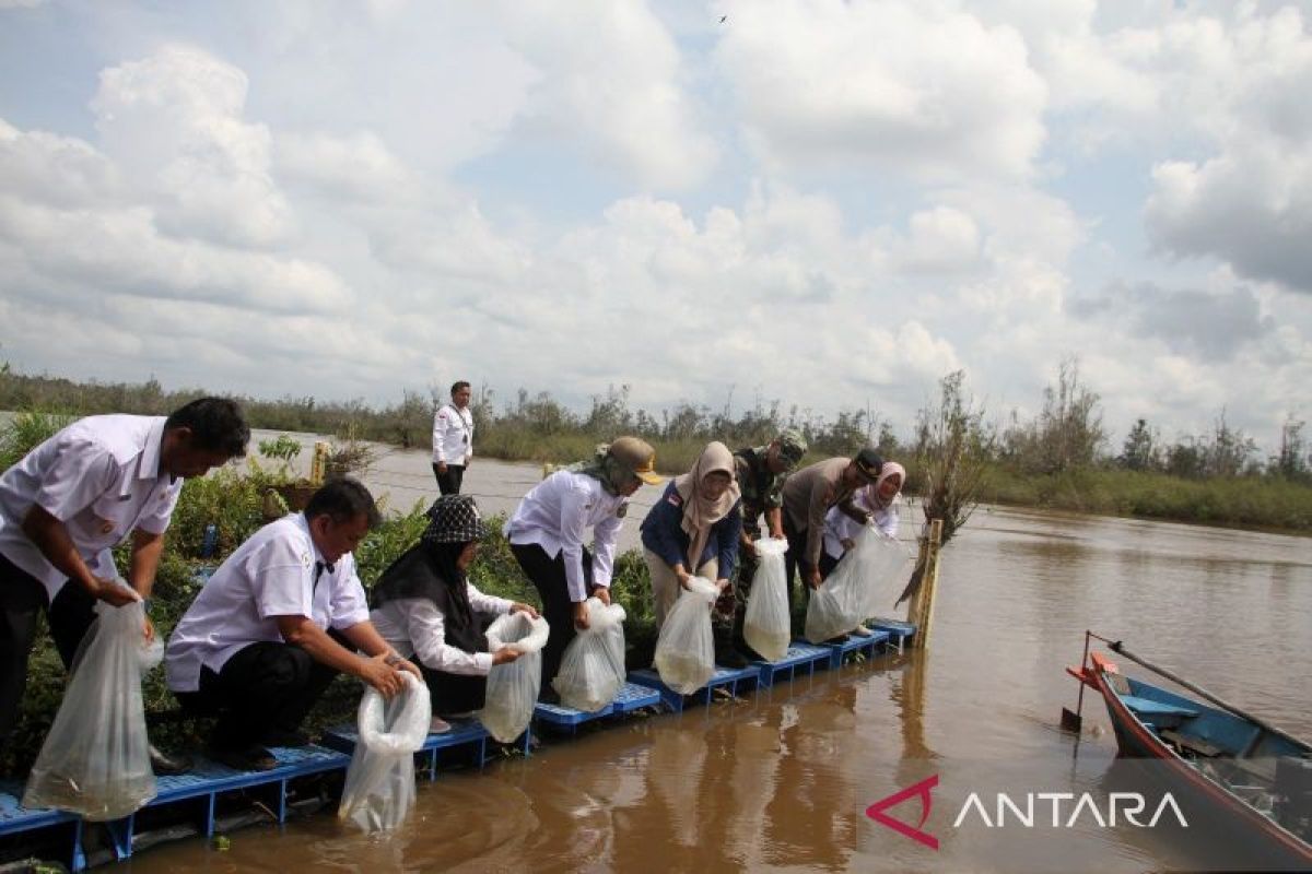 Pemkot Palangka Raya tebar 70.000 benih ikan di Danau Hanjalutung