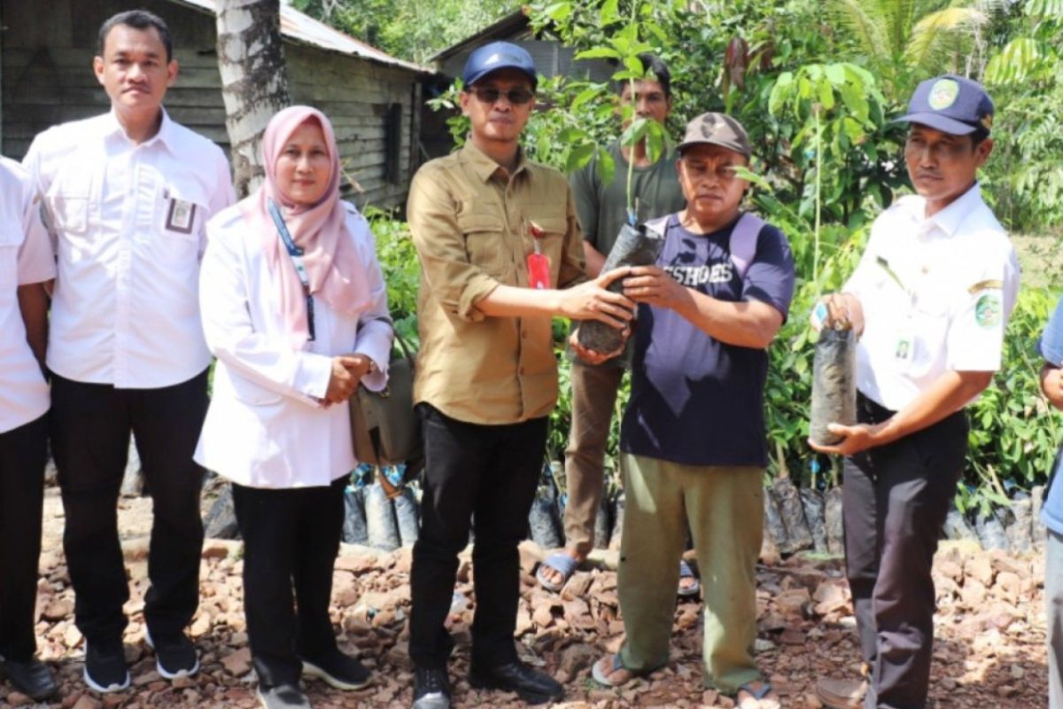 Disbun Kaltim salurkan bantuan untuk pekebun karet Anggana Rp139 juta