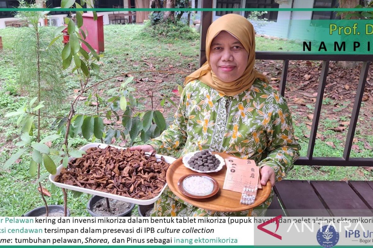 Cendawan berpeluang dapat spesies baru di Indonesia
