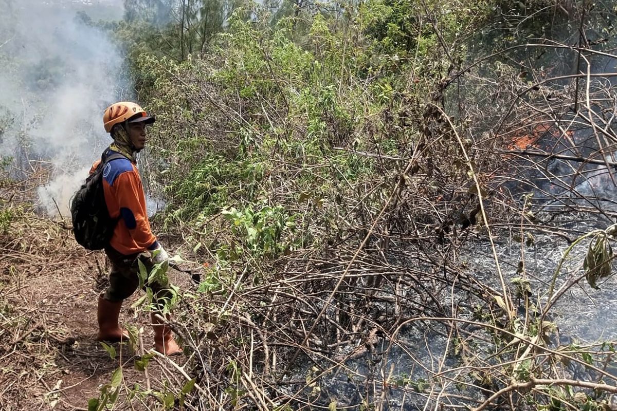 Kebakaran Gunung Panderman di Kota Batu dilaporkan padam