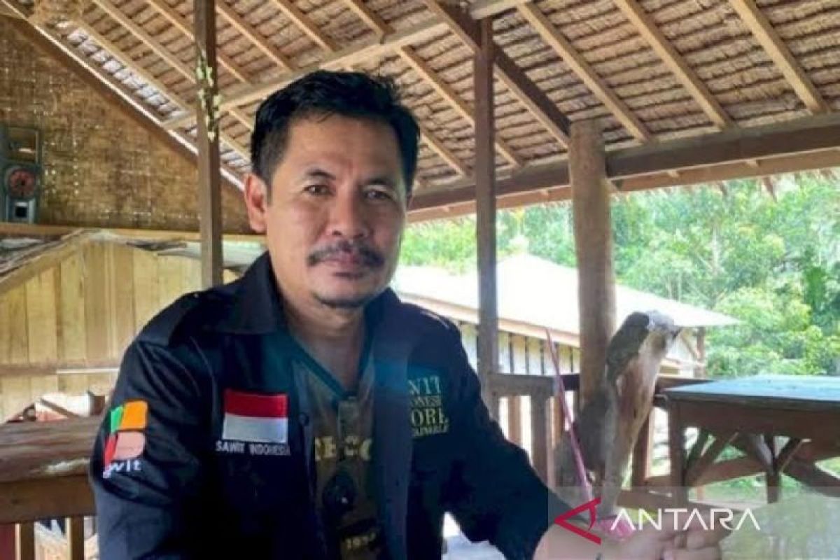 Apkasindo: Peta jalan KSB Aceh mudahkan akses petani kelapa sawit