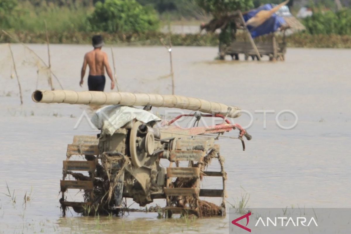 2.854 Ha sawah petani di Aceh Barat terendam banjir