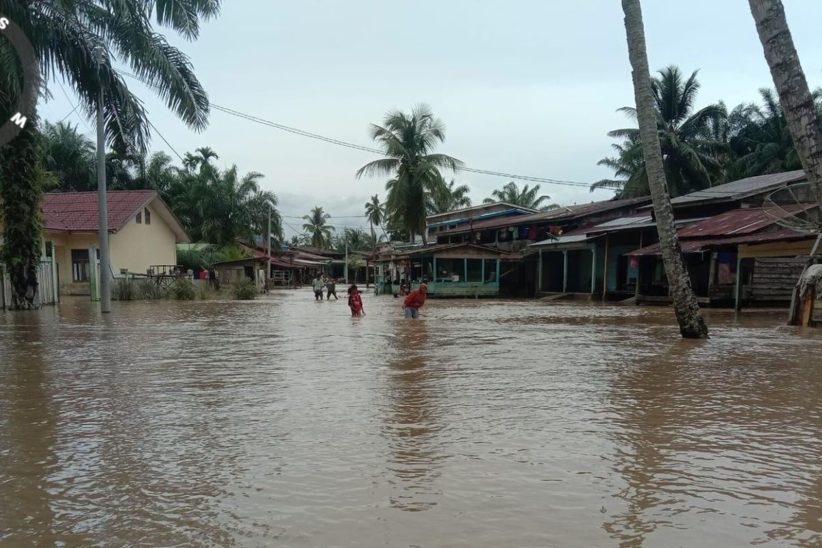 BPBA: Banjir masih rendam dua kecamatan di Subulussalam