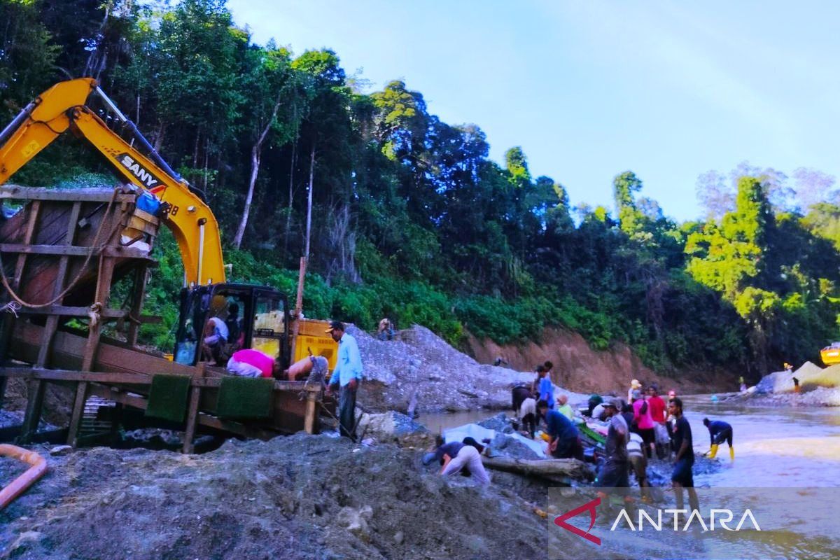 Kerusakan hutan di Nagan Raya Aceh mencapai 972 hektare