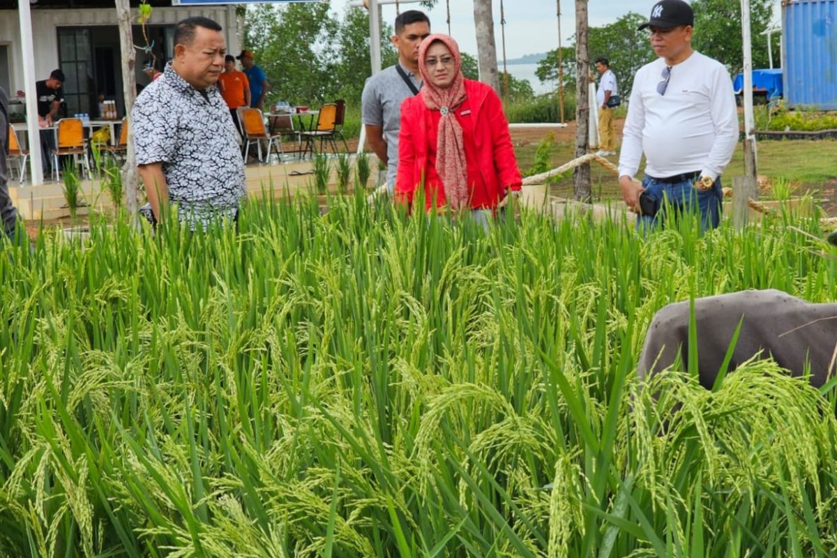 Rutan Kelas I Tanjungpinang garap program SAE bidang ketahanan pangan