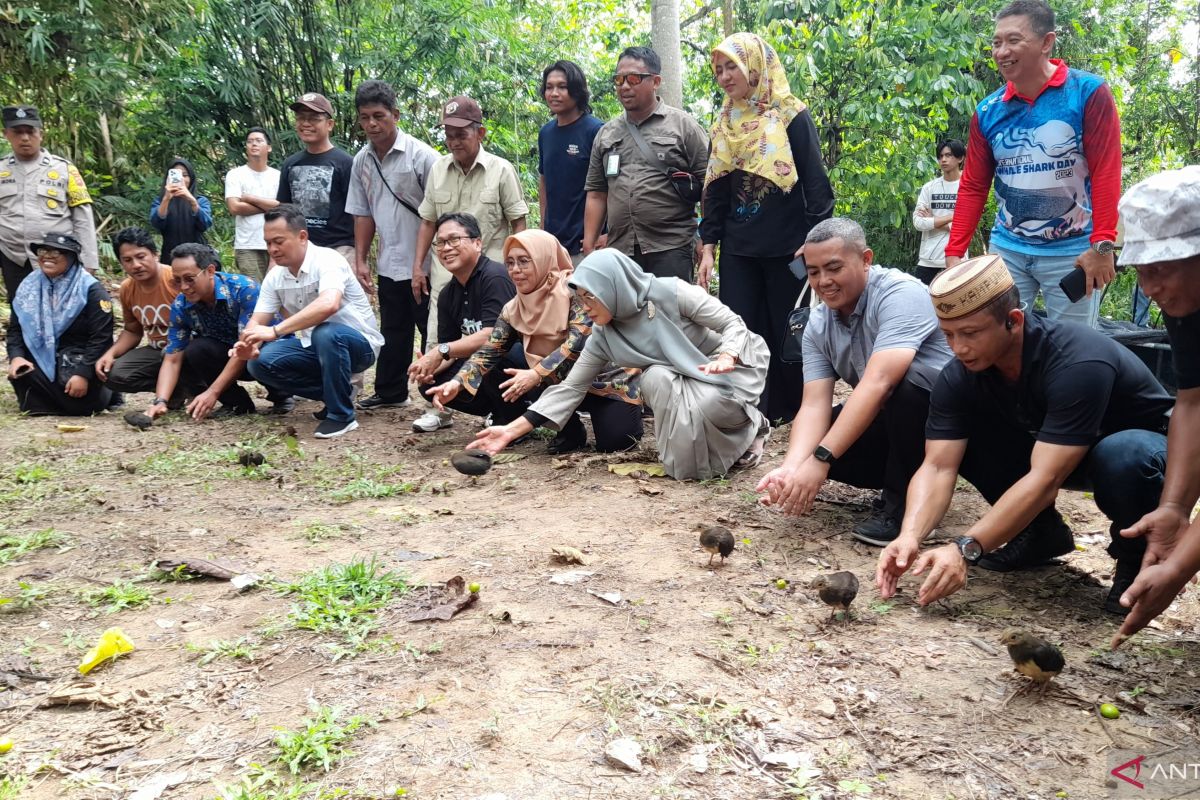 Gubernur Gorontalo: Festival Maleo 2023 untuk jaga ekosistem