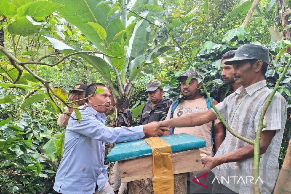 SMGP bantu budi daya lebah masyarakat Mandailing Natal