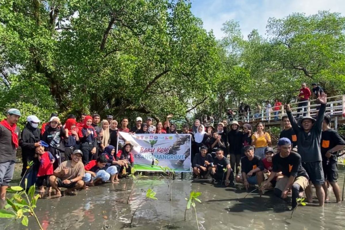 Upaya jaga iklim laut, Karang Taruna Ambon tanam 800 bibit mangrove